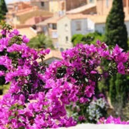 Climatise 800 M De La Et Des Commerces Apartment Bormes-les-Mimosas