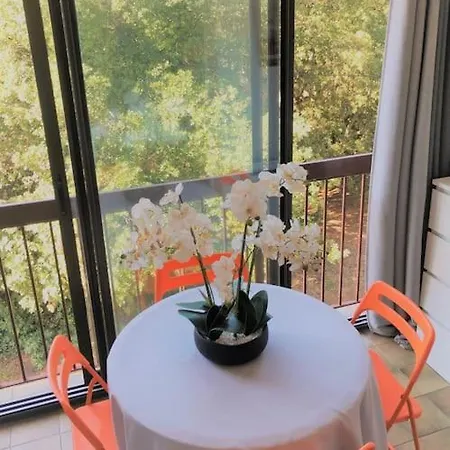 Climatise 800 M De La Et Des Commerces *